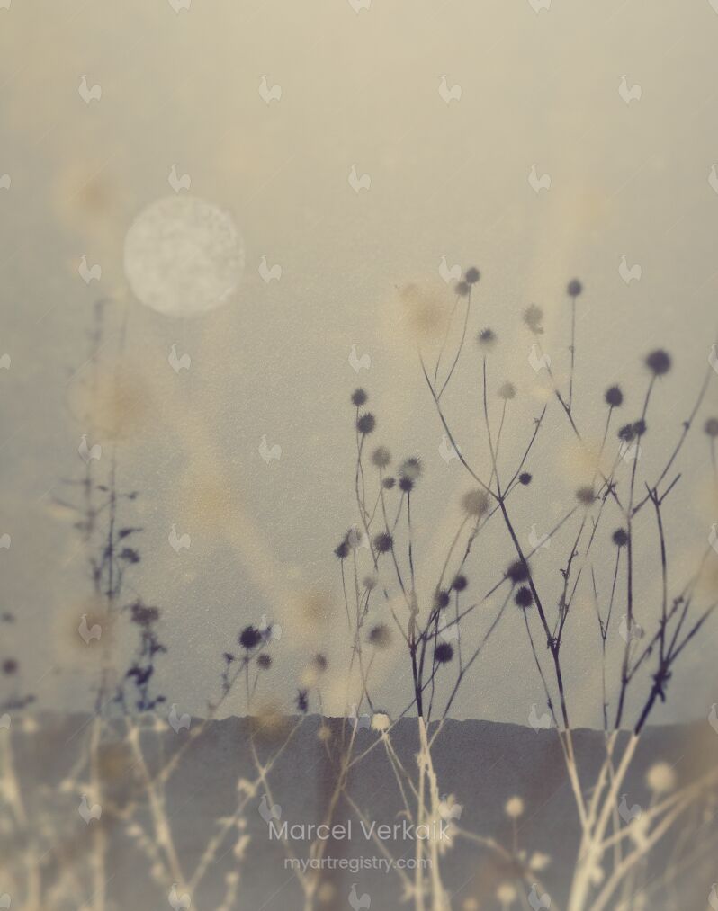 Abstract Nature