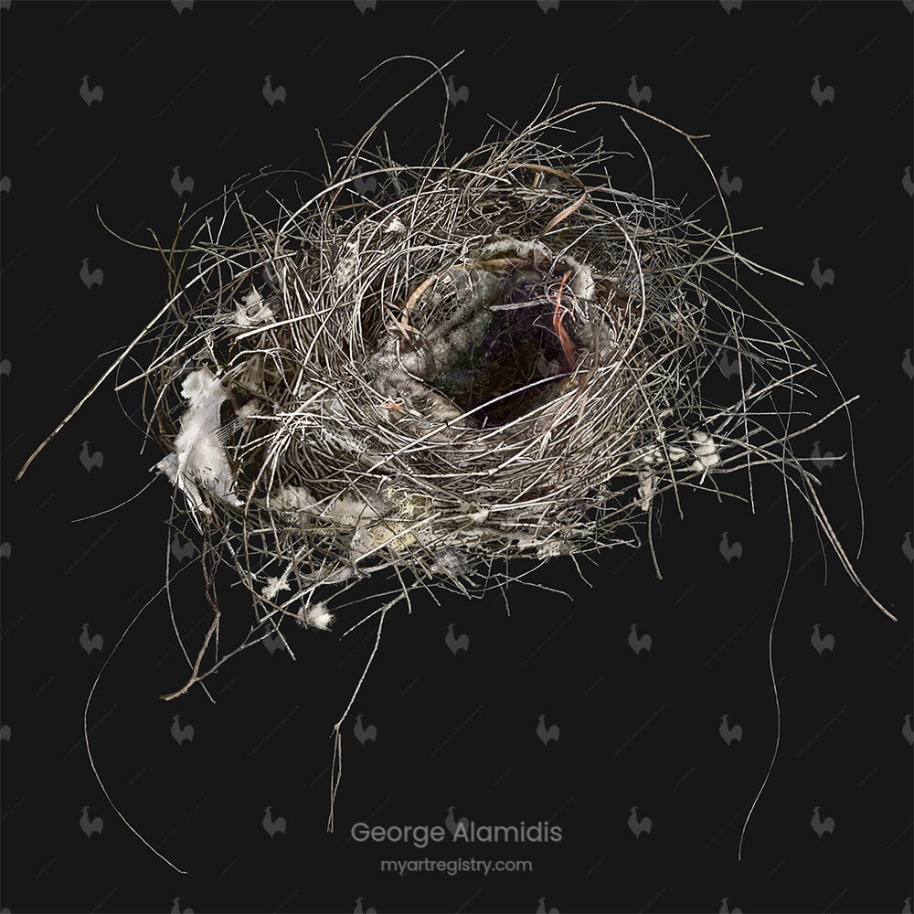 Empty Nest with Tufts and Red Thread