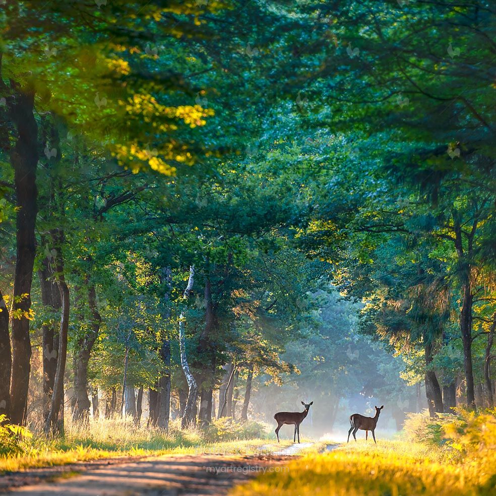RENCONTRE MATINALE