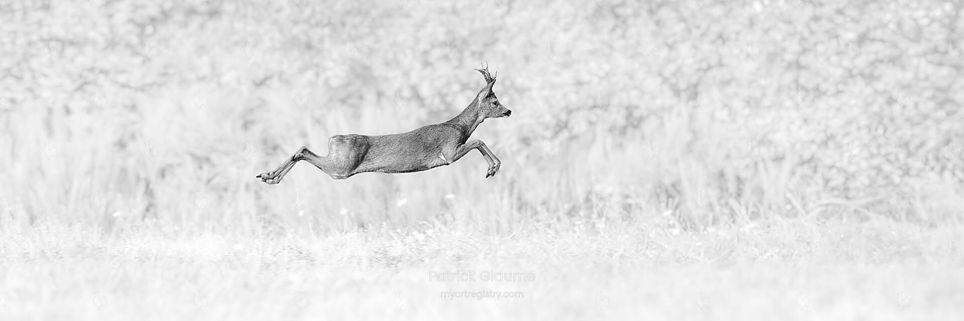 LE GRAND SAUT