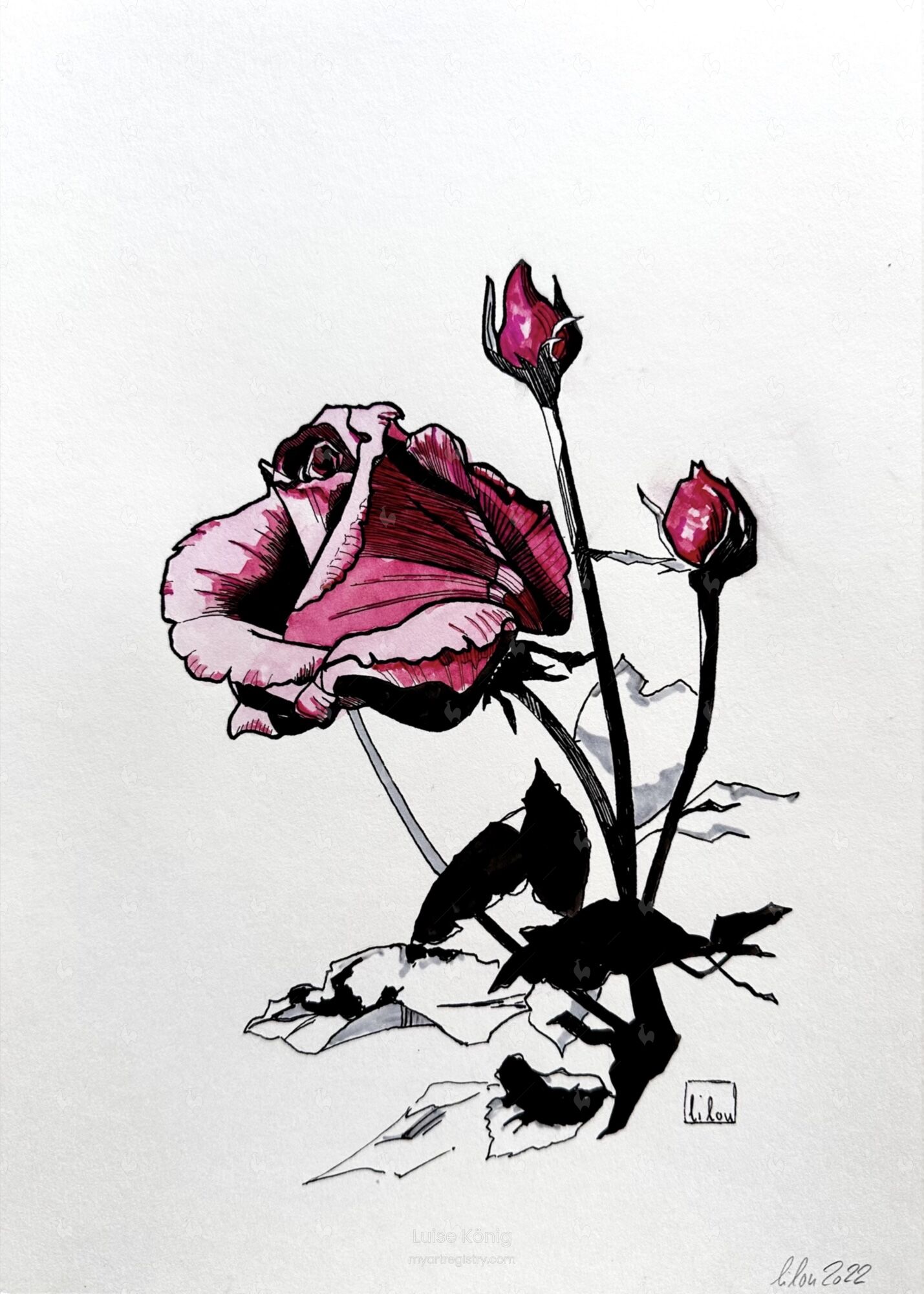 Rose in pink