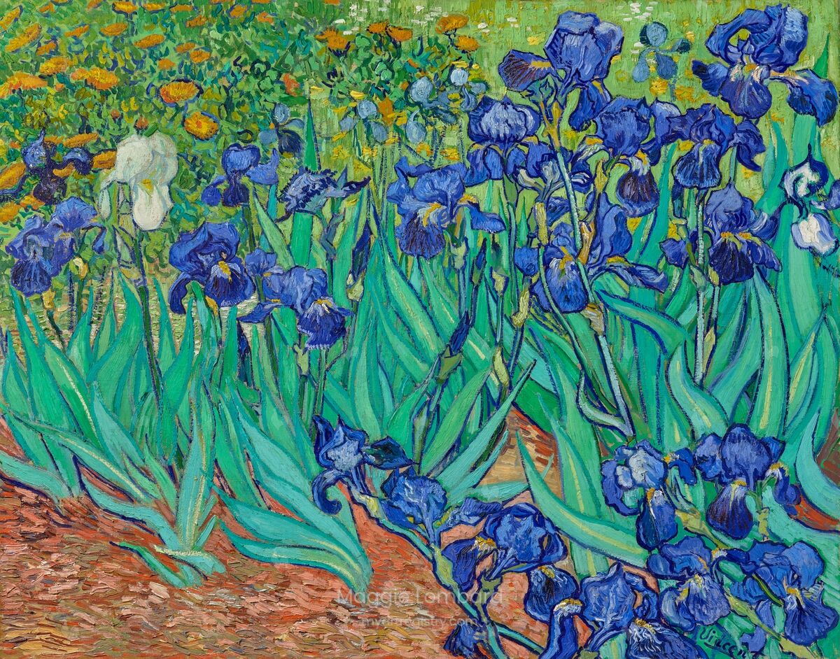 Vincent Van Gogh's Irises (1889)