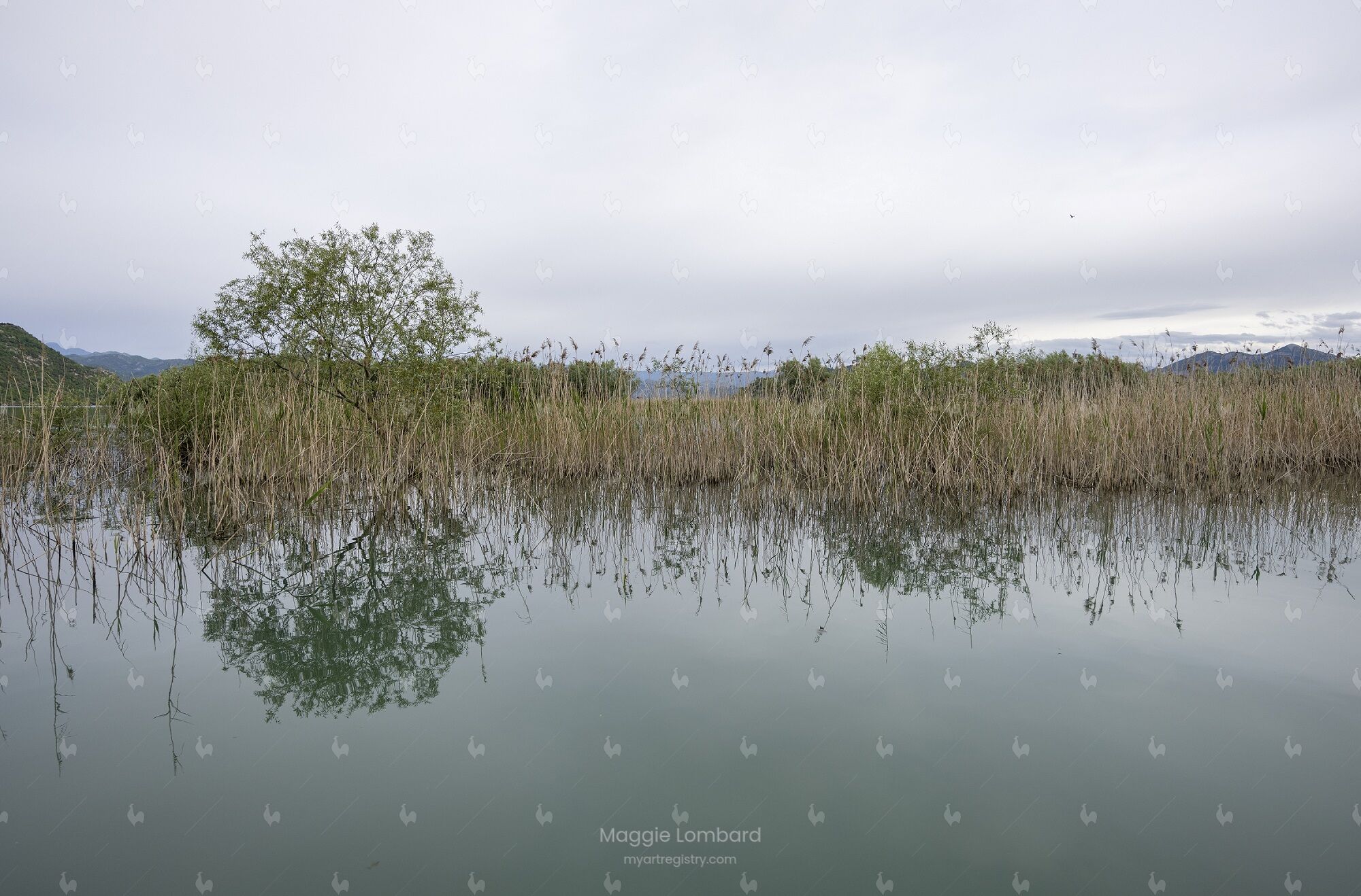 Tranquil Reflections at Skadar Lake 