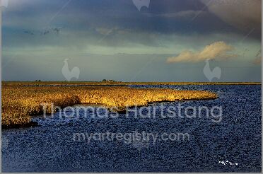 Photography: Vogelschutzwarte Maasholm / Maasholm bird sanctuary