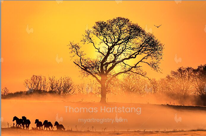 Photography: Das ist nicht Afrika / That is not Africa