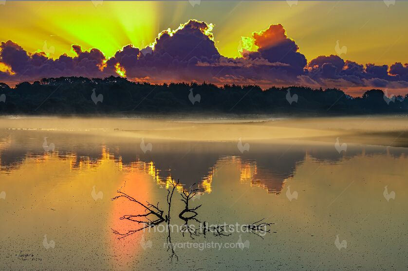 Photography: Morgenstimmung in der Birk I / Morning mood in the Birk I