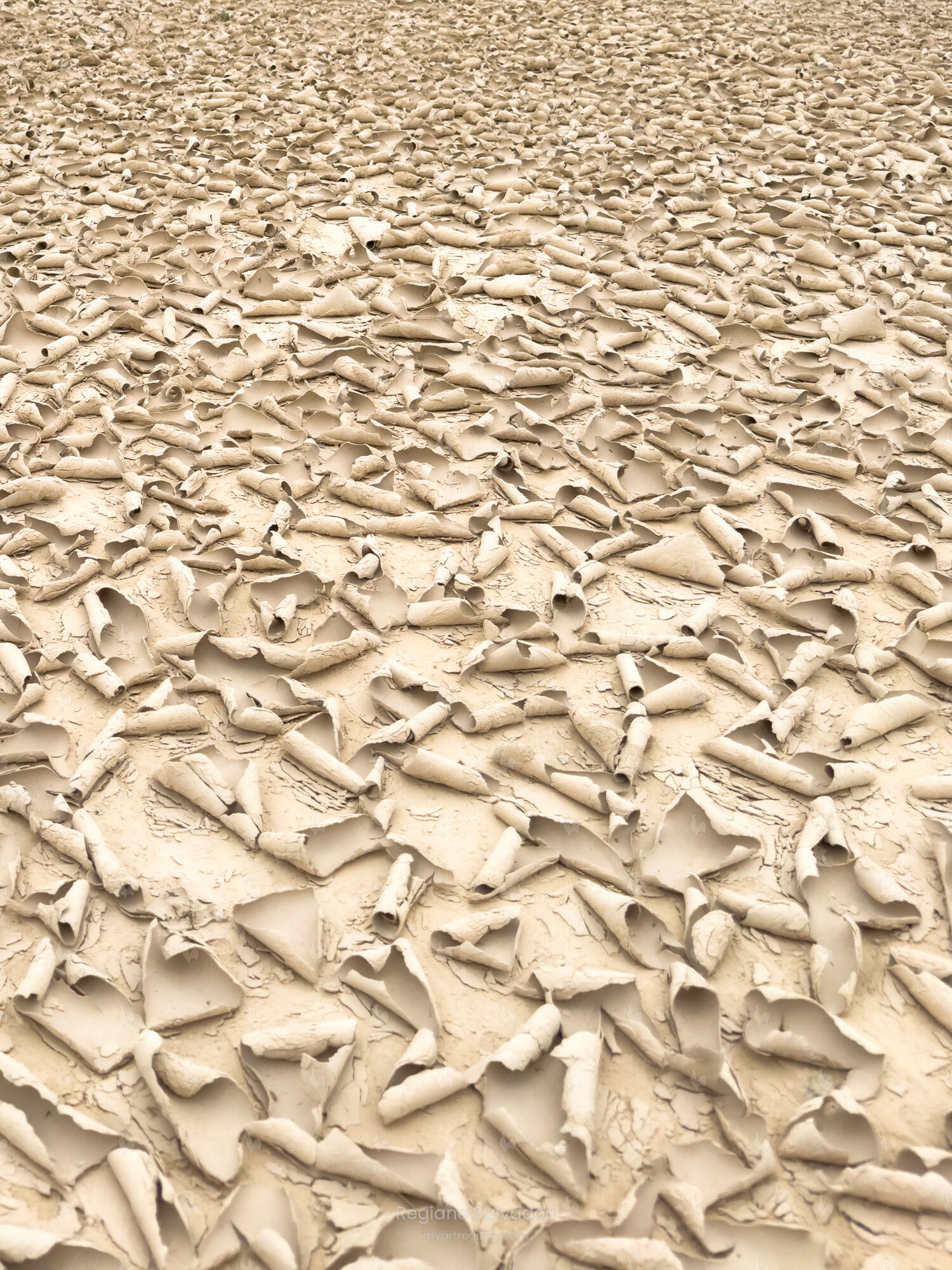 Desert Texture