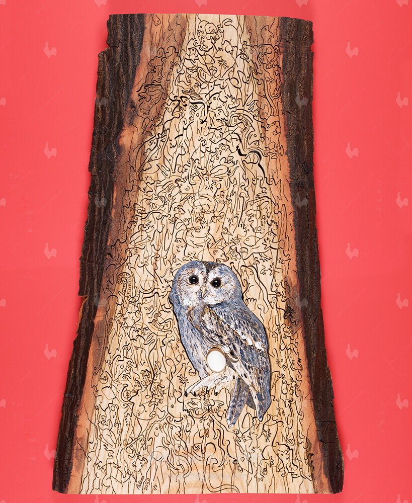 Tawny Owl with Egg (Art Puzzle)