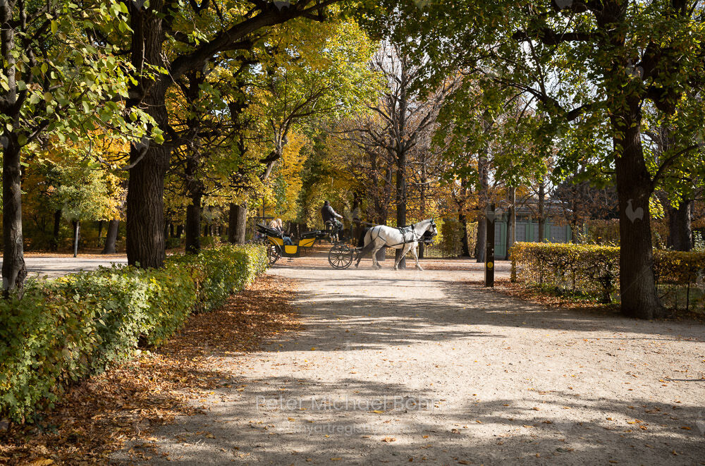 Schönbrunner Herbst