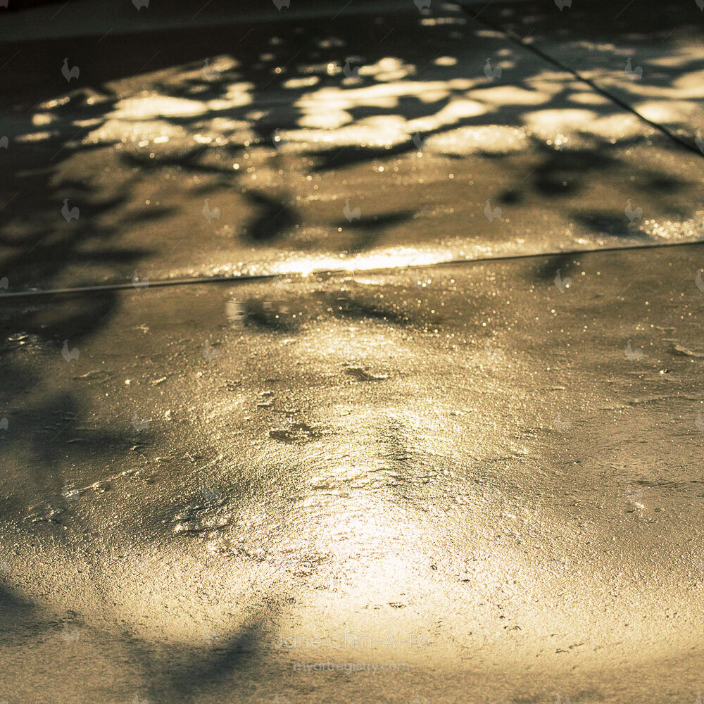 Shadows - 3