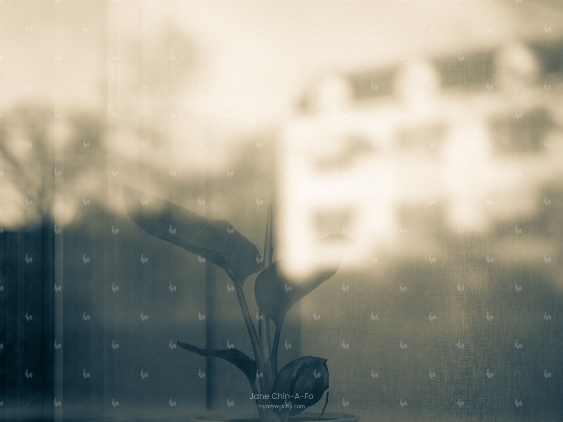 AP202404 Another Place | 5