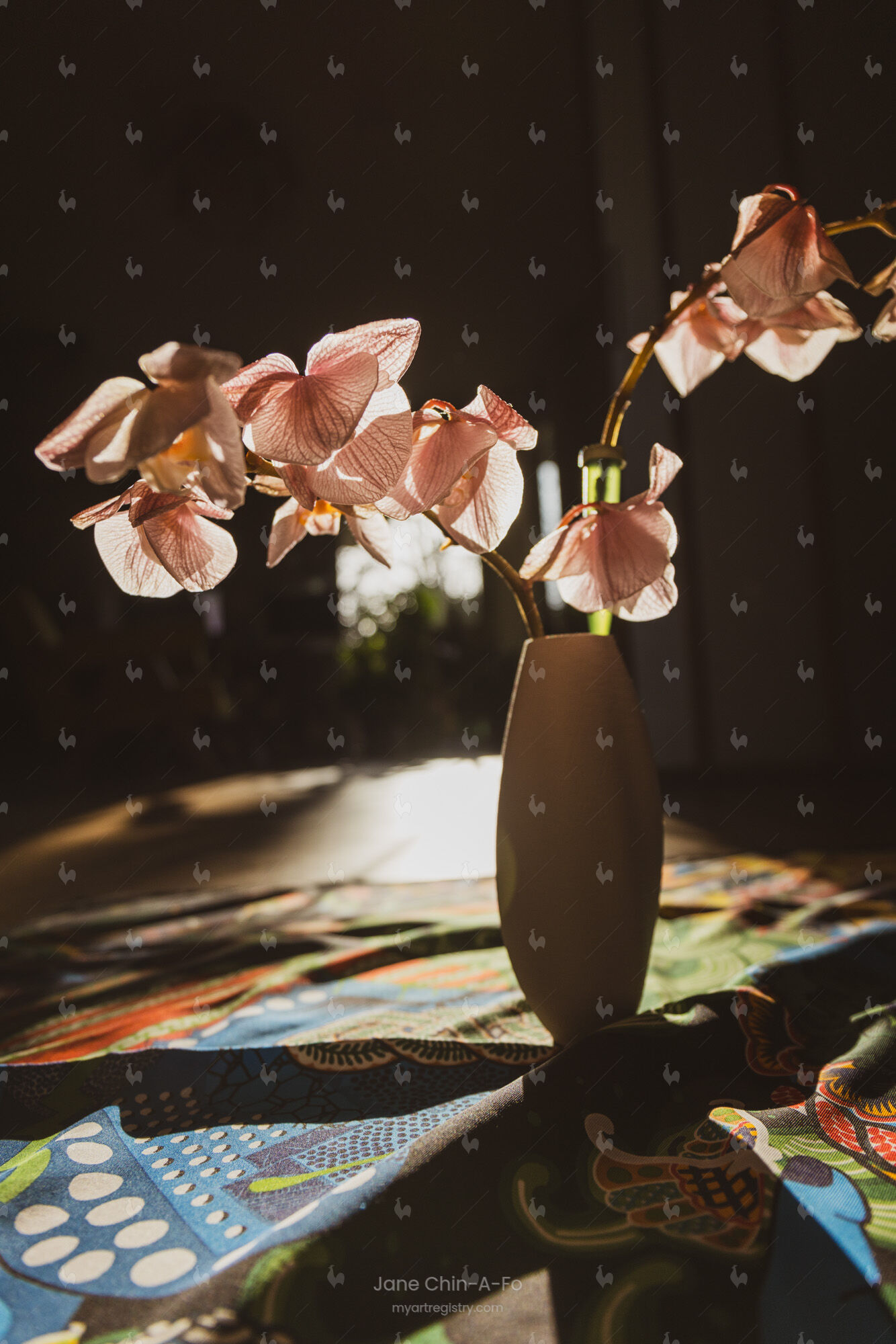 Caress of the Sun | 4