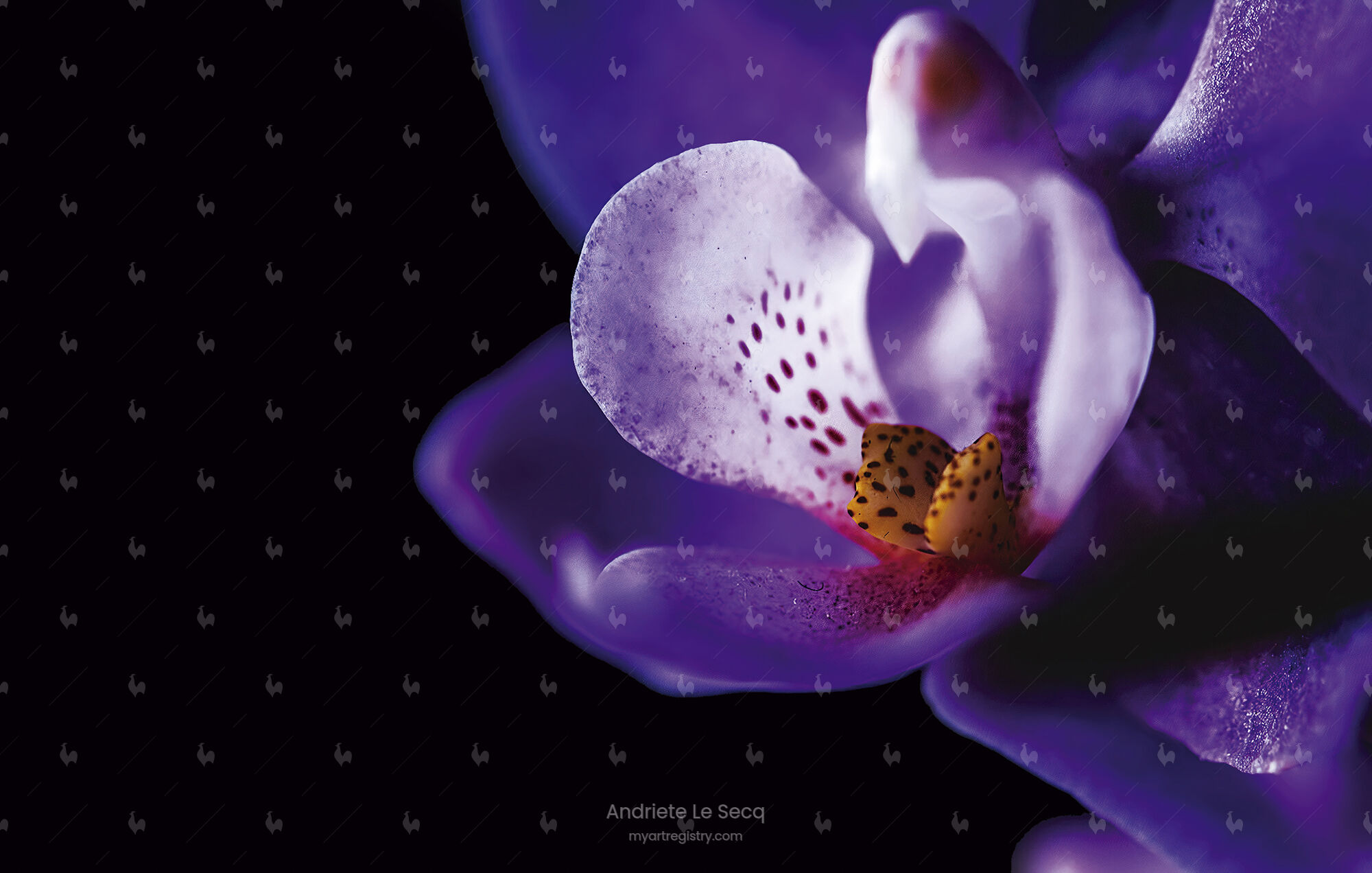 Secret Garden IX