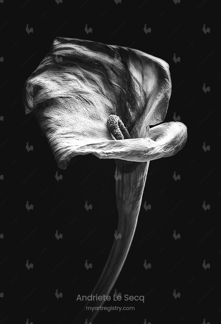 Secret Garden I