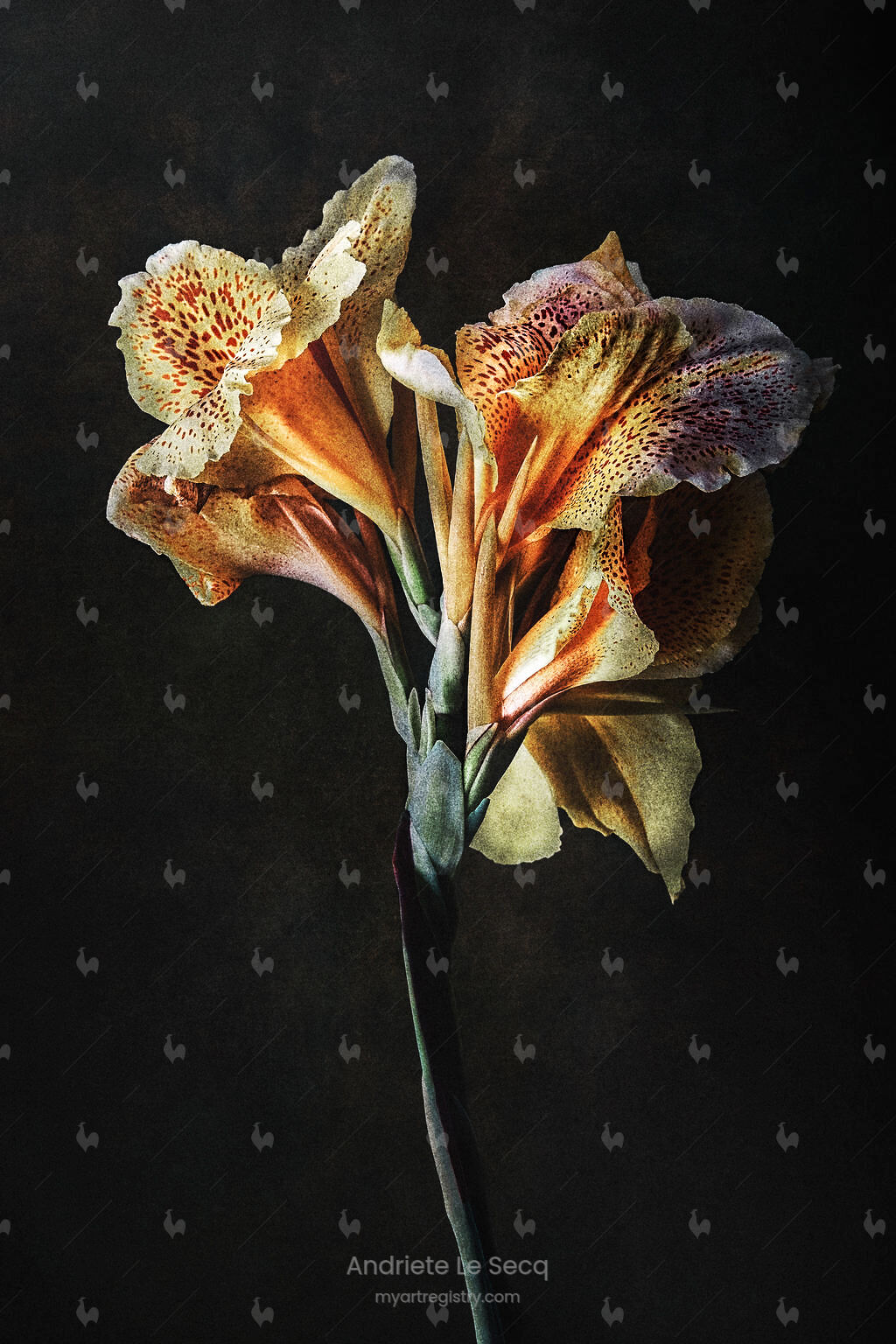 Secret Garden VIII