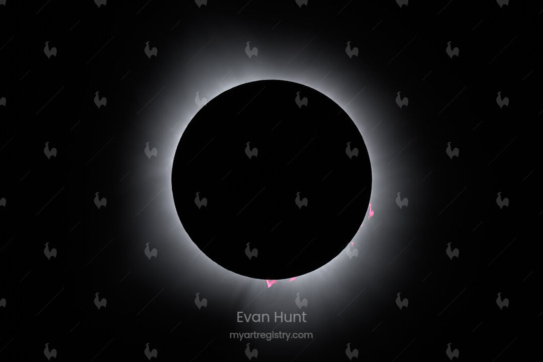 The Prominences