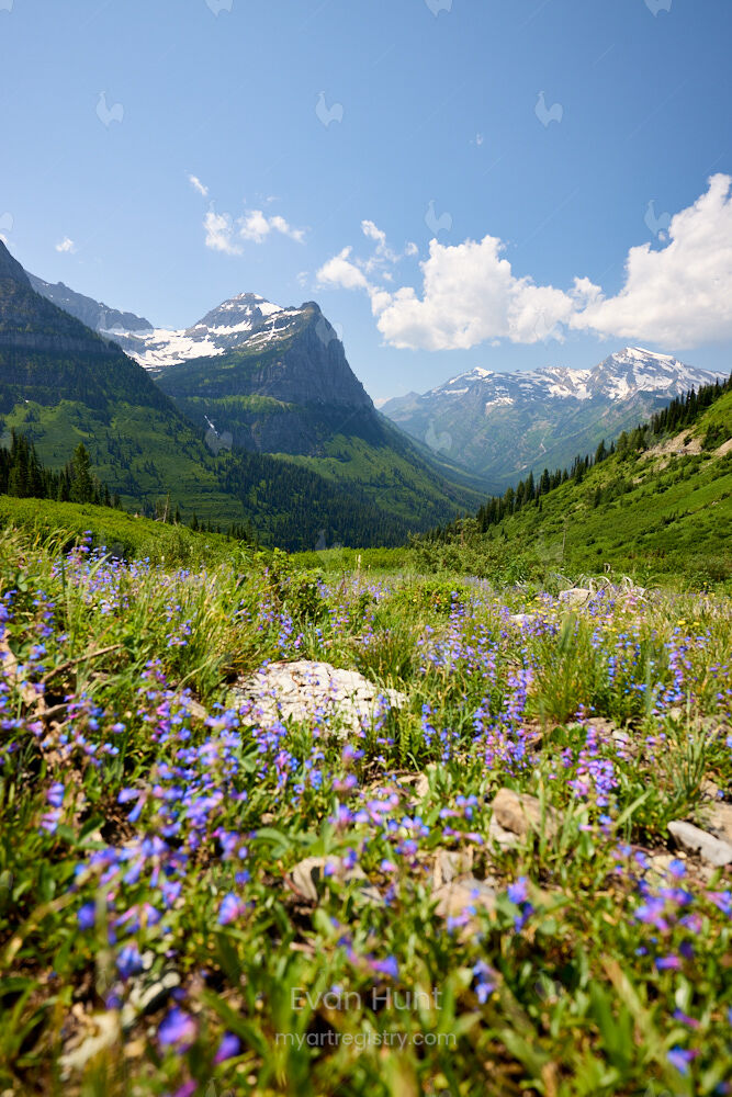 Mountain Bliss