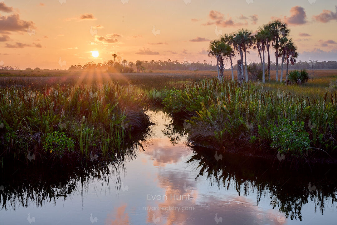 Hernando Reflections