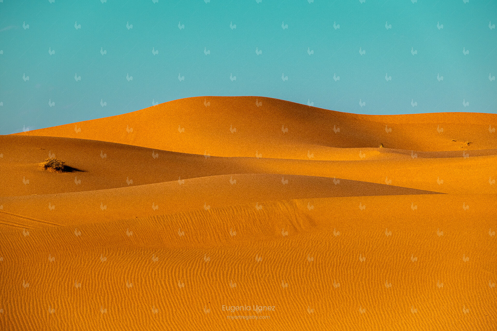 "Desierto #1"