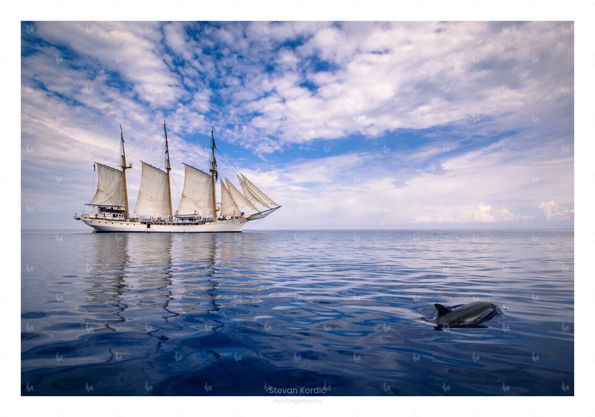 Dolphin
