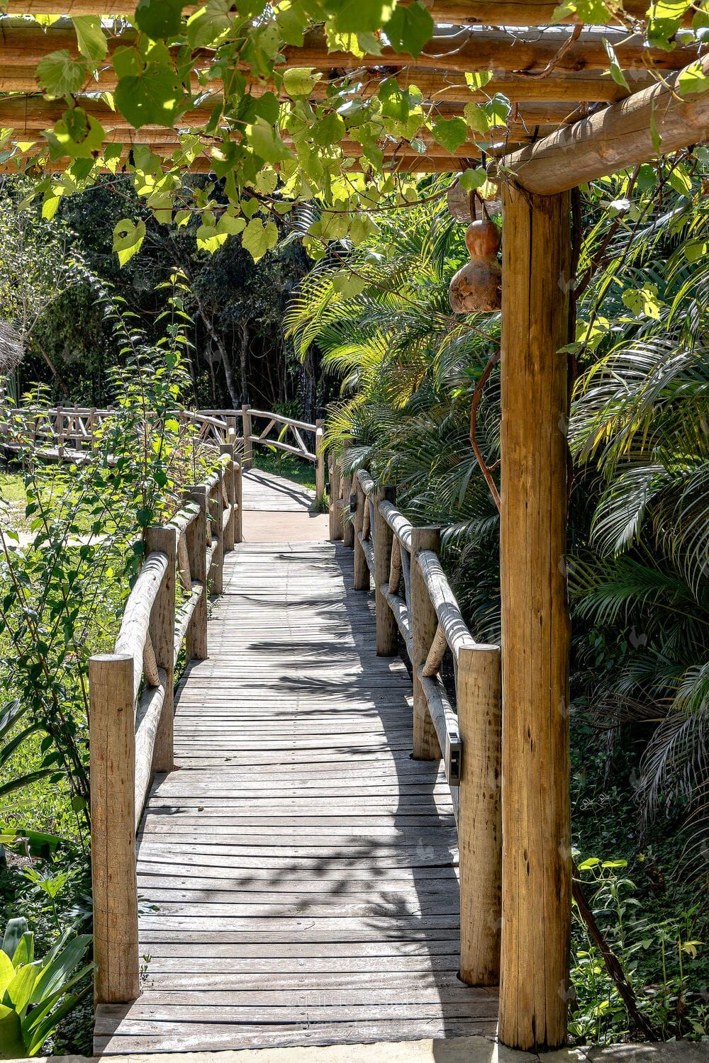 Caminhos do Jalapão