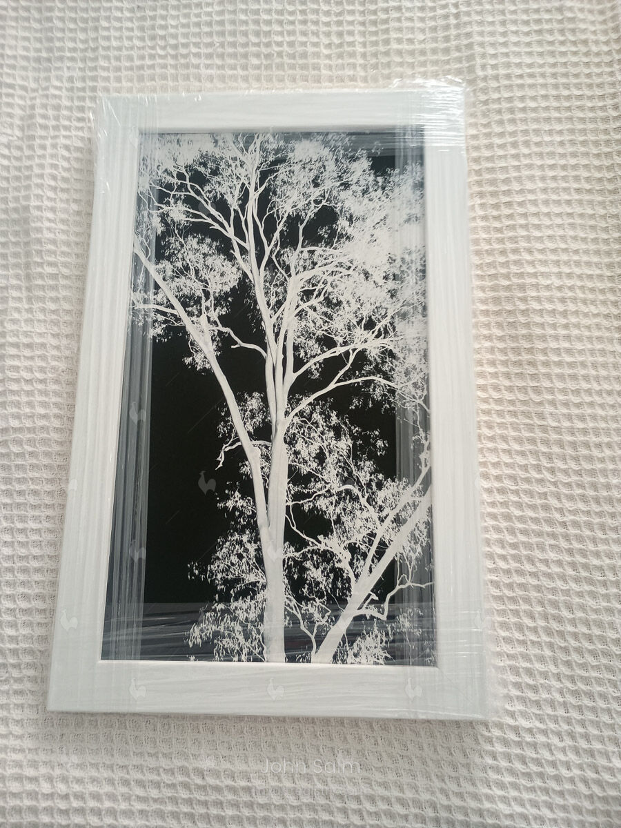 White Tree