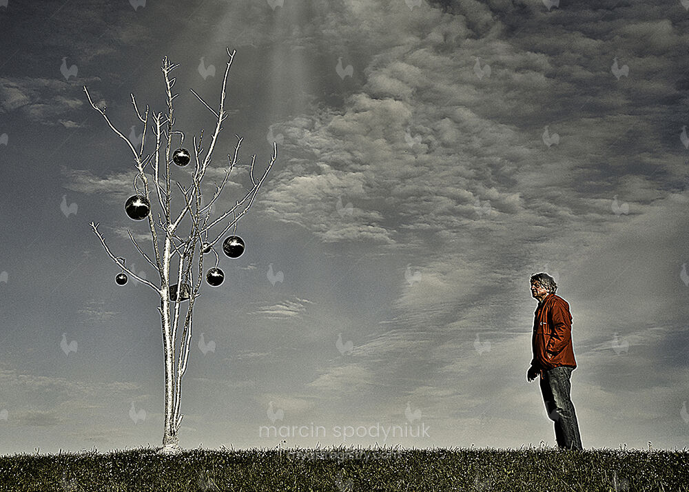 Silver tree