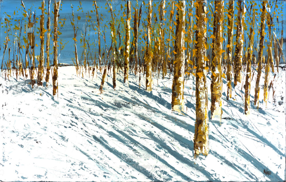 Snowy Wilderness