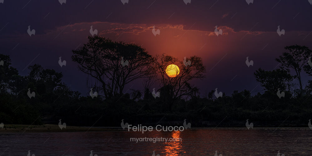Crepúsculo Pantaneiro