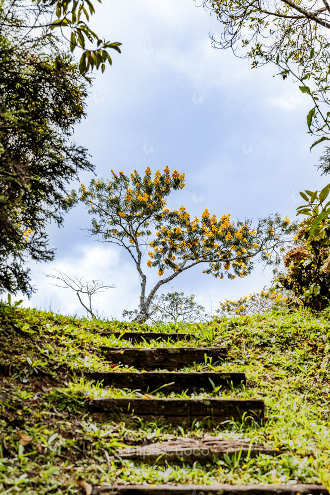 O Caminho da serenidade