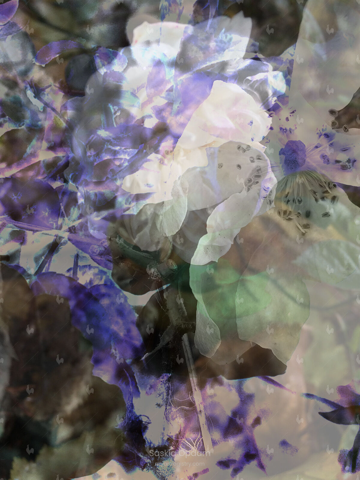 Flowers and Leaves II - 50 prints small unframed