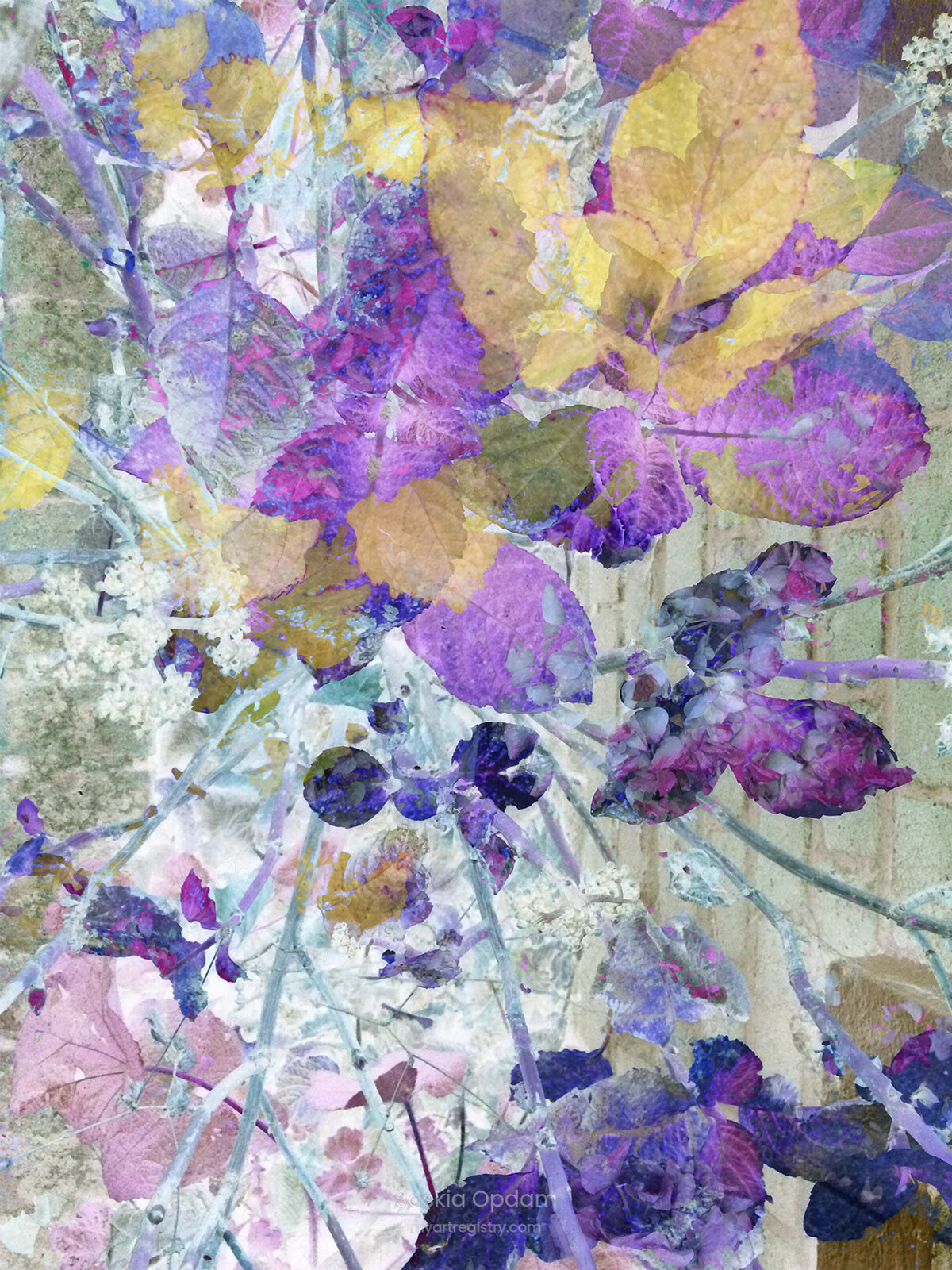 Flowers and Leaves I - 50 prints small unframed