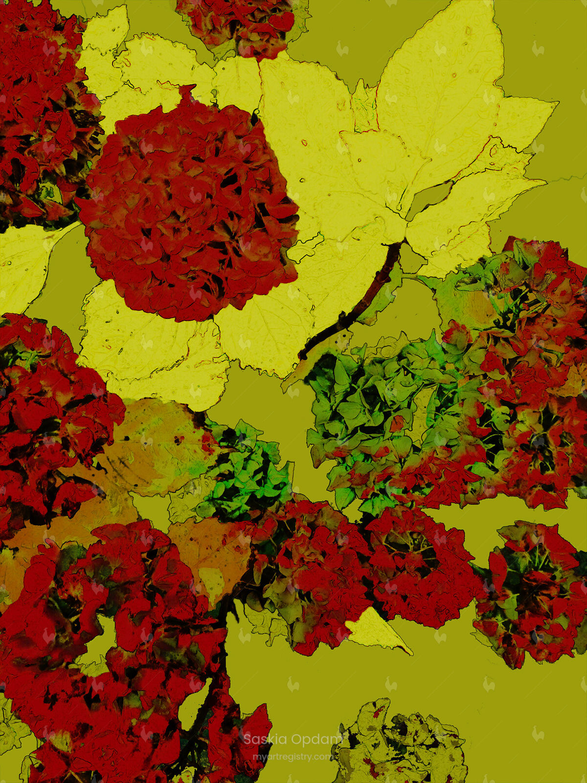 Hydrangea - 10 prints big framed