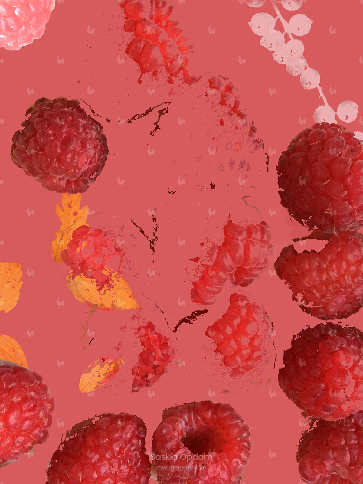 Raspberries - 50 prints small unframed