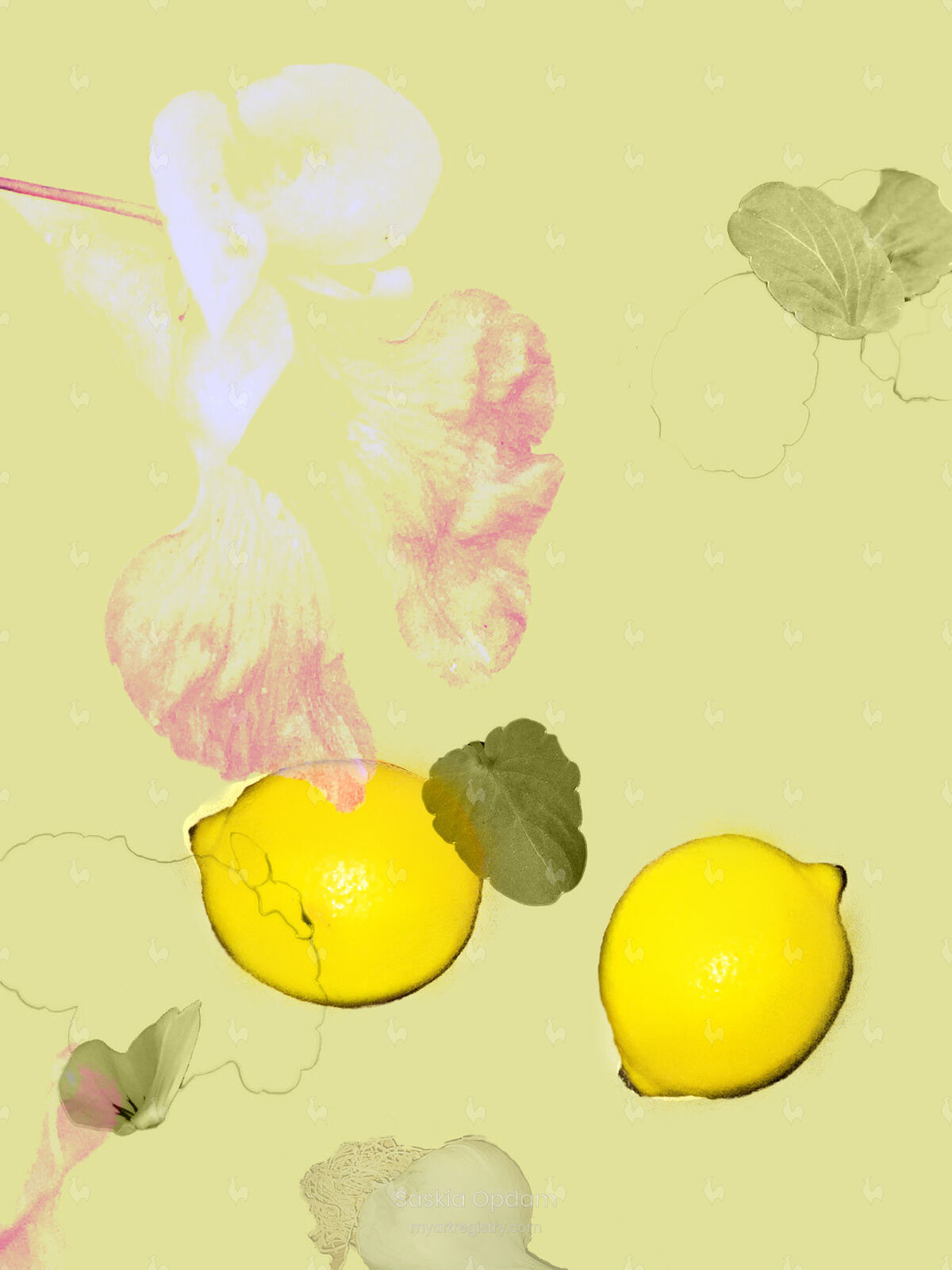 Lemons - 50 prints small unframed