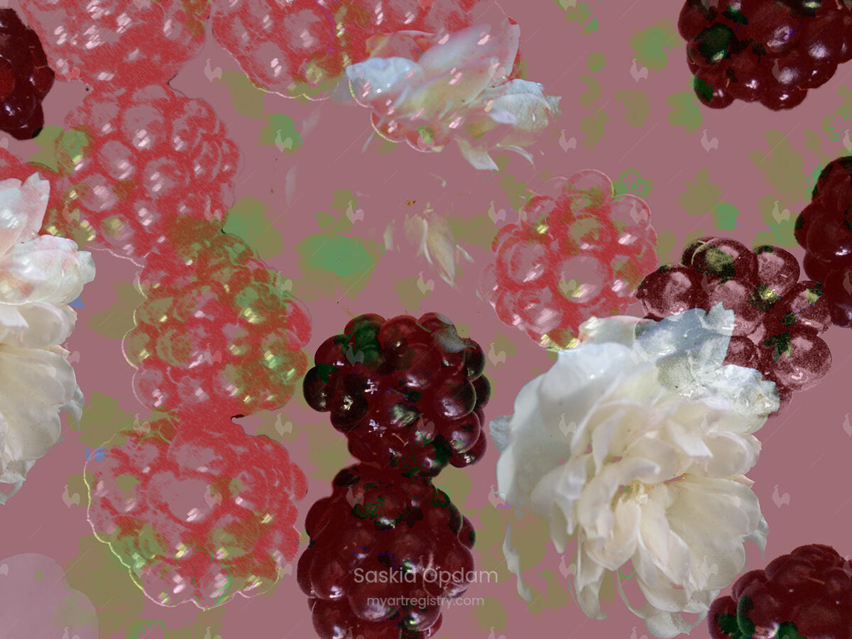 Blackberries II - 50 prints small unframed