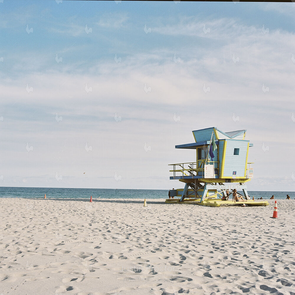 Beach Day