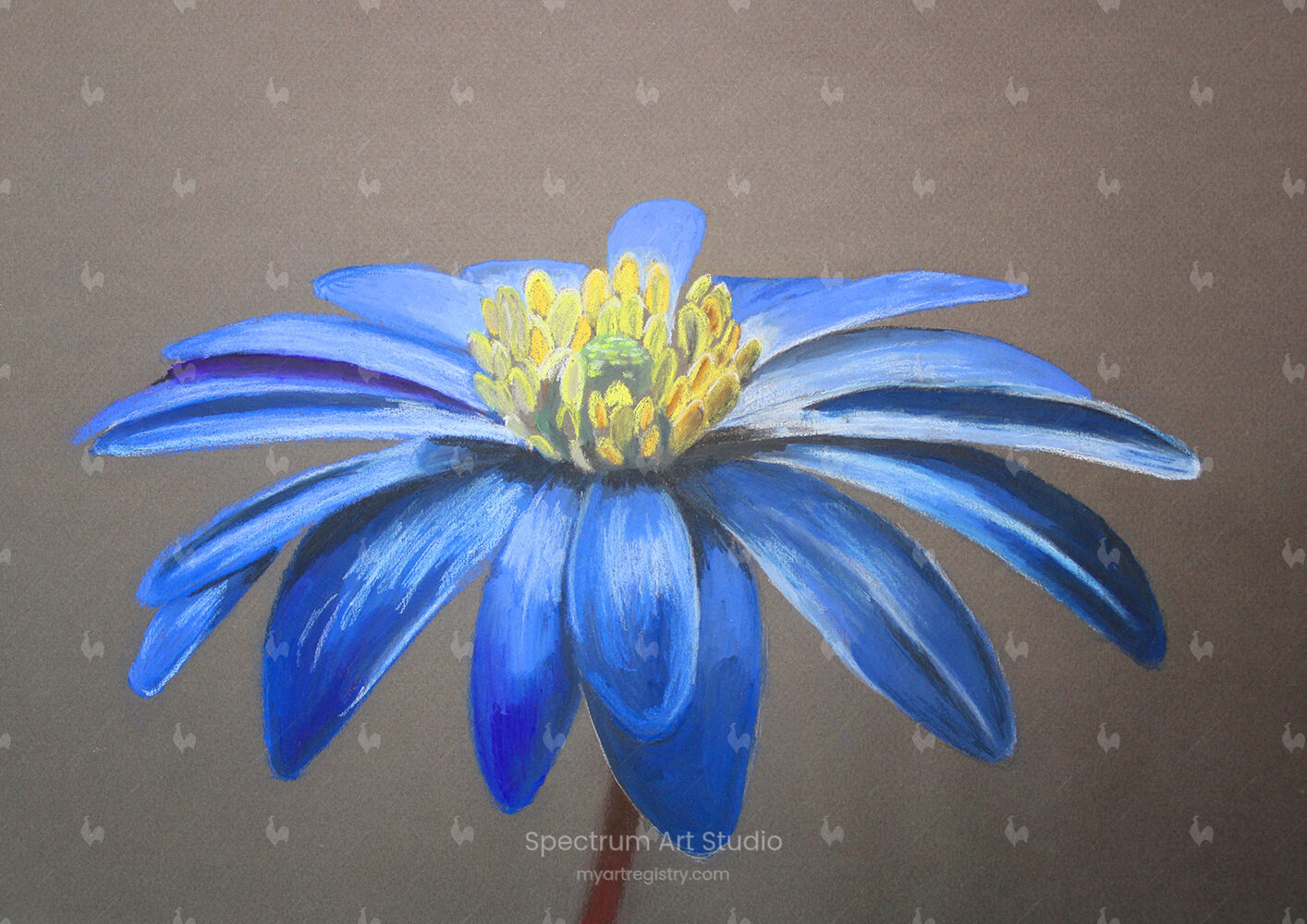 Balkan Blue Anemone