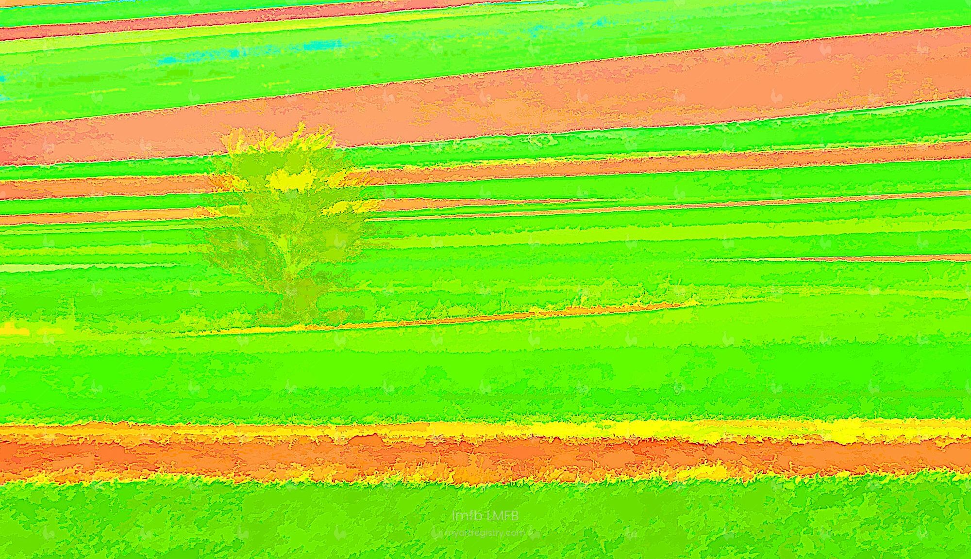 Zielona zjawa / Green Apparition