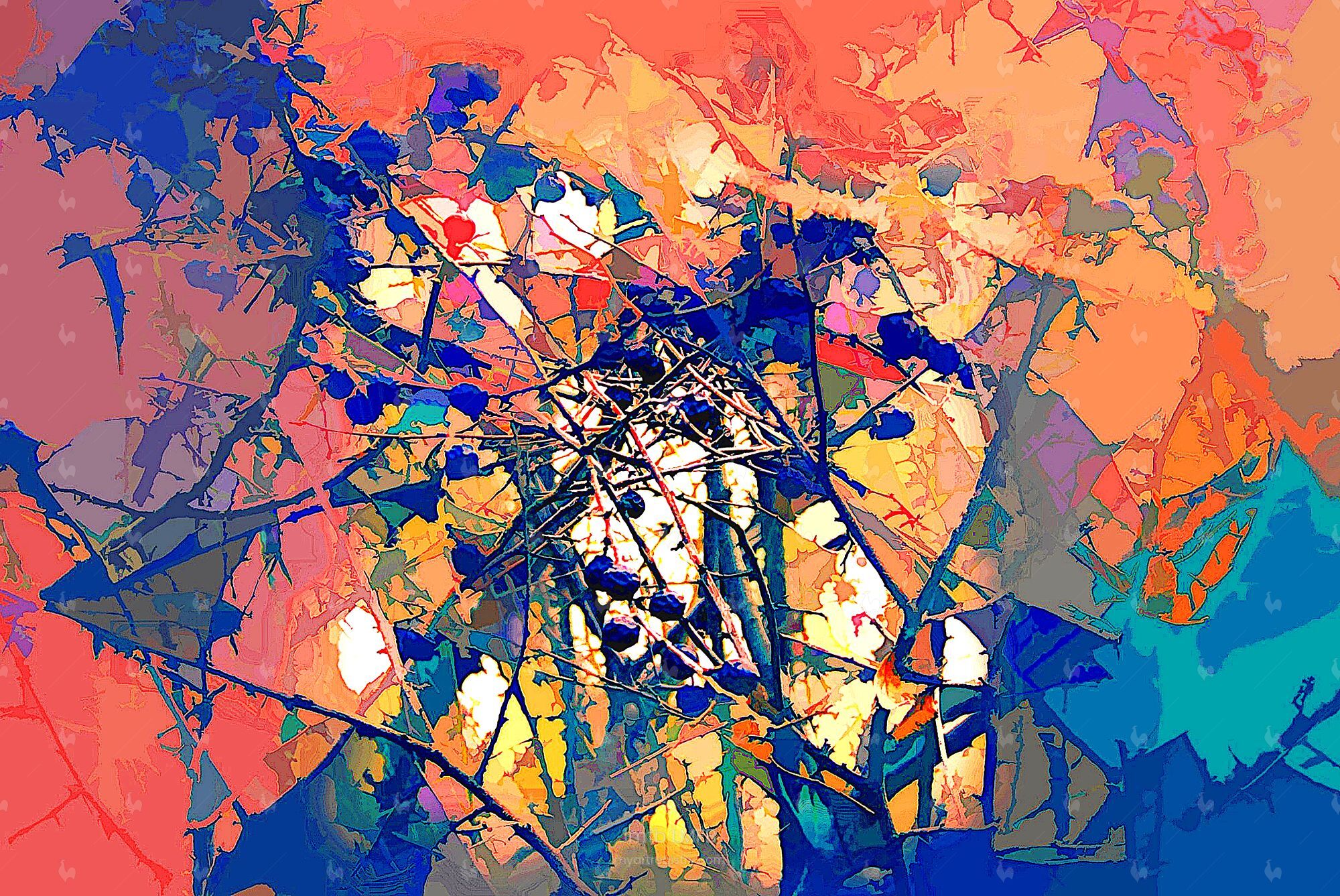 Tarnina / Blackthorn