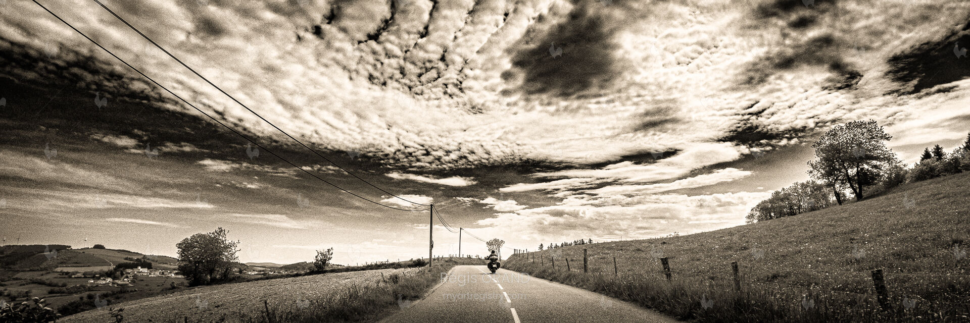 Solo Rider