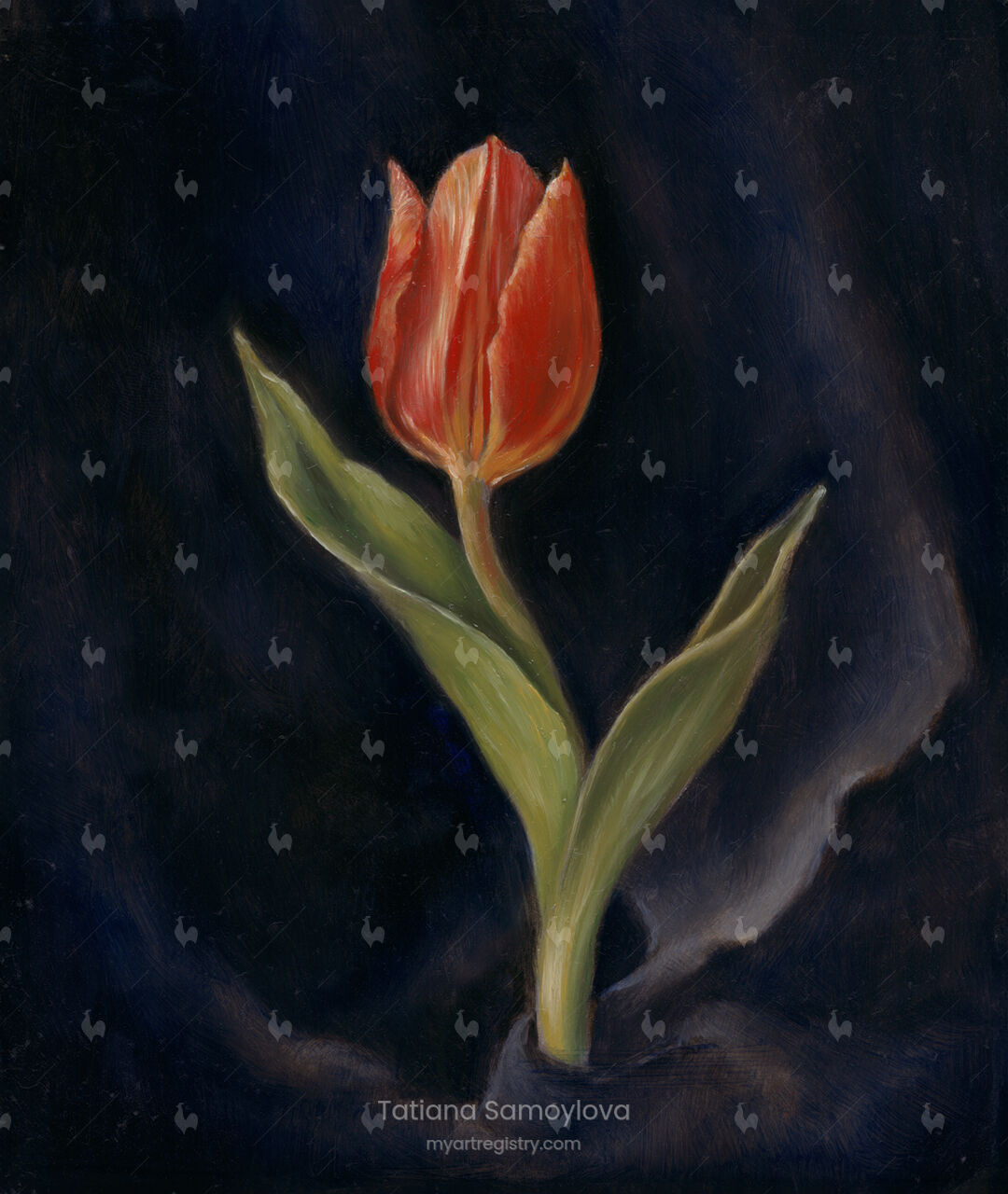 Velum Tulipae (The Veil of the Tulip)