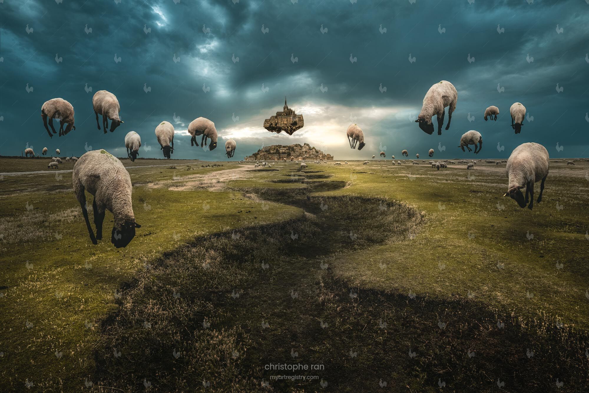 Vole Mouton