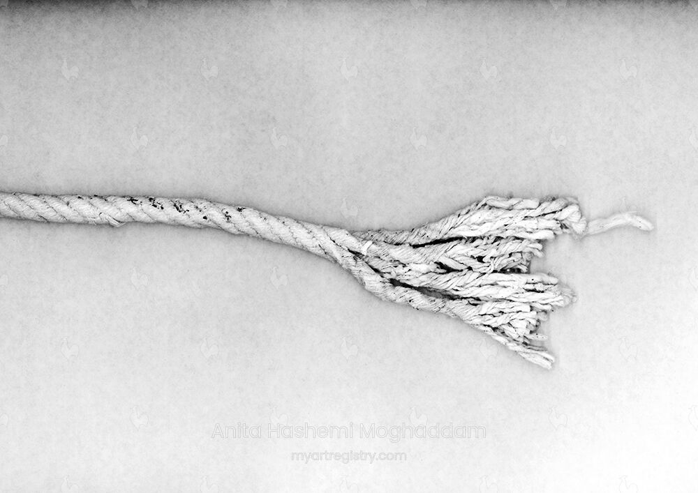 Survival-1 from "Survival Series"