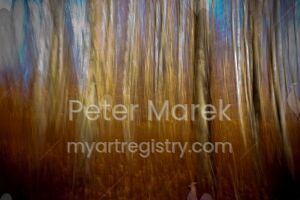 Forest Movement 11