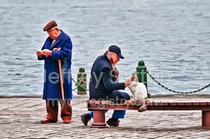 Two Men and a Cat