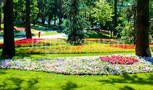 Little Girl In Park