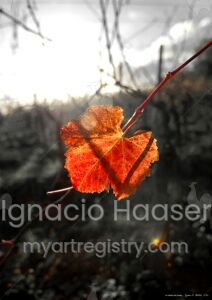 Le temps qui passe…,