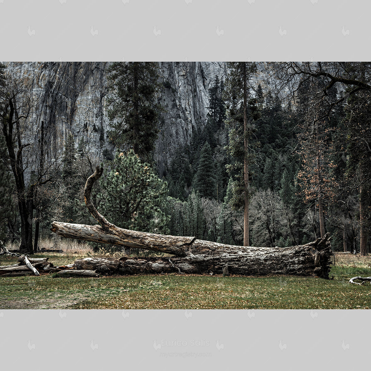 Broken Arrow, Yosemite