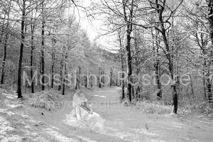 Bianco Cold Landscape 8
